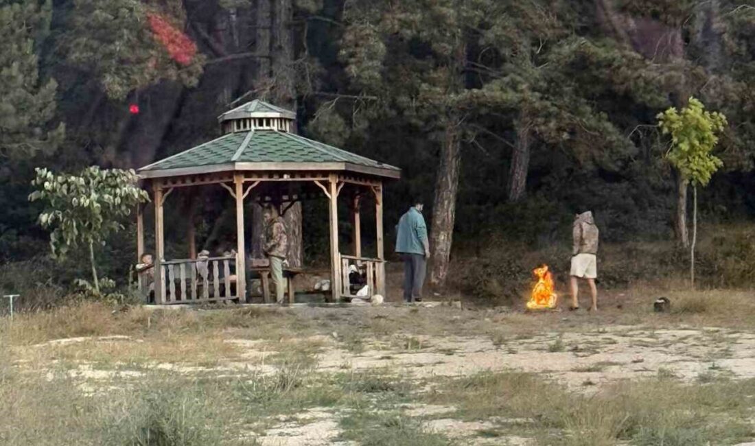 Sakarya'nın Taraklı ilçesinde başlayan orman yangını, rüzgarla Bilecik'in Gölpazarı'na sıçramış,