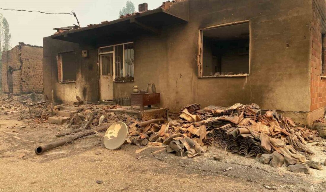 Sakarya'nın Taraklı ilçesinde çıkan orman yangını, rüzgarın etkisiyle Bilecik’in Gölpazarı