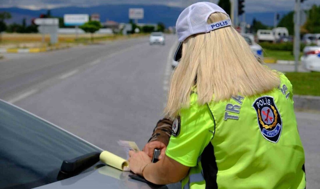 Düzce'de 23-29 Haziran 2025 tarihleri arasında gerçekleştirilen denetimlerde 15 bin