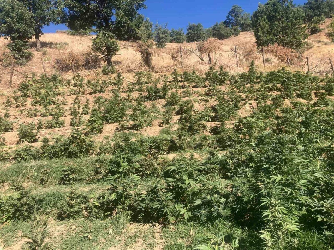 Bingöl İl Jandarma Komutanlığı, Genç ilçesi kırsalında gerçekleştirdiği operasyonda 4