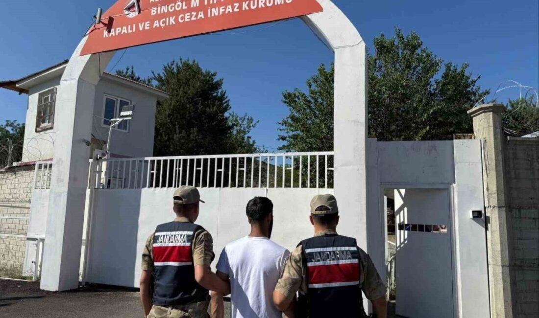 Bingöl'de jandarma, 1 yıl 8 ay hapis cezası bulunan A.S.'yi