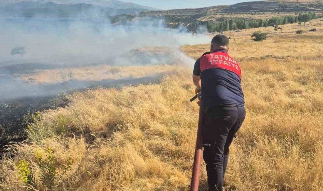 Tatvan ilçesindeki piknikçilerin açtığı ateş, Çöplük mevkii ve Yelkenli köyünde