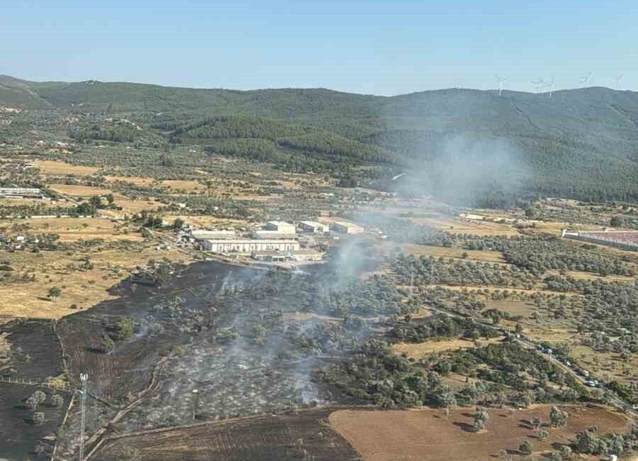Muğla'nın Bodrum ilçesindeki Mumcular Mahallesi'nde ziraat alanında çıkan yangın, itfaiye