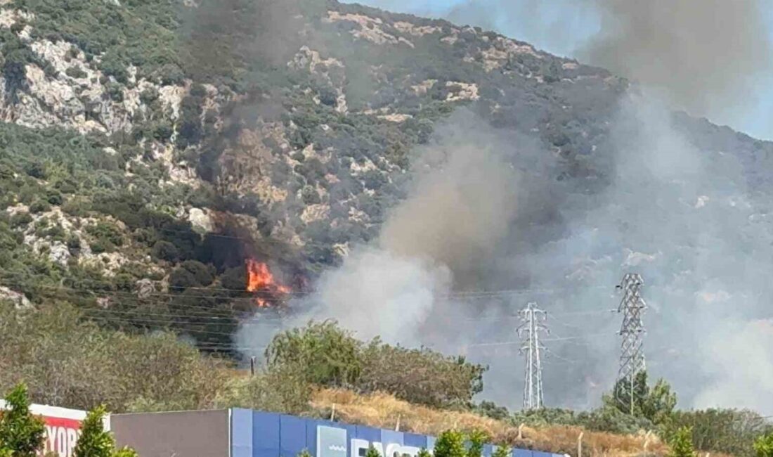 Muğla'nın Bodrum ilçesindeki Ortakent Mahallesi'nde, alışveriş merkezi yakınında çıkan yangın,
