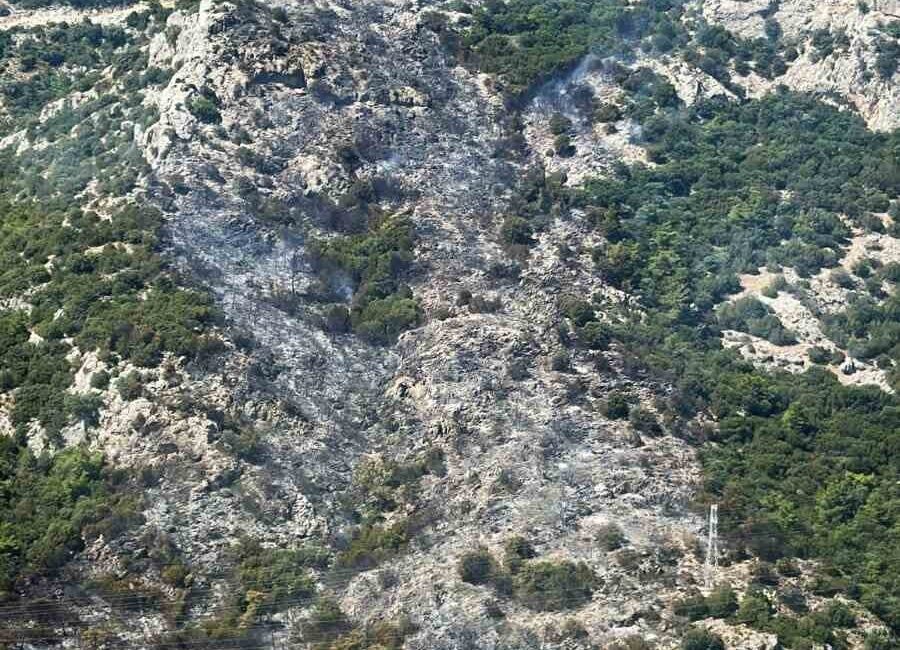 Muğla'nın Bodrum ilçesindeki Ortakent Midtown AVM arkasındaki ormanlık alanda başlayan