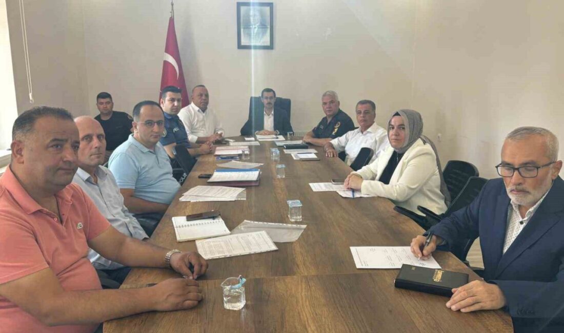 Bozdoğan'da, Kaymakam Yunus Emre Polat'ın liderliğinde kadına şiddet, bağımlılıkla mücadele