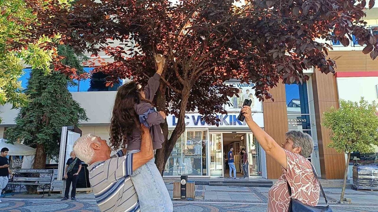 Edirne'de alışverişte bulunan Mümin Güler, 10 yaşındaki torunu Derin Özdemir