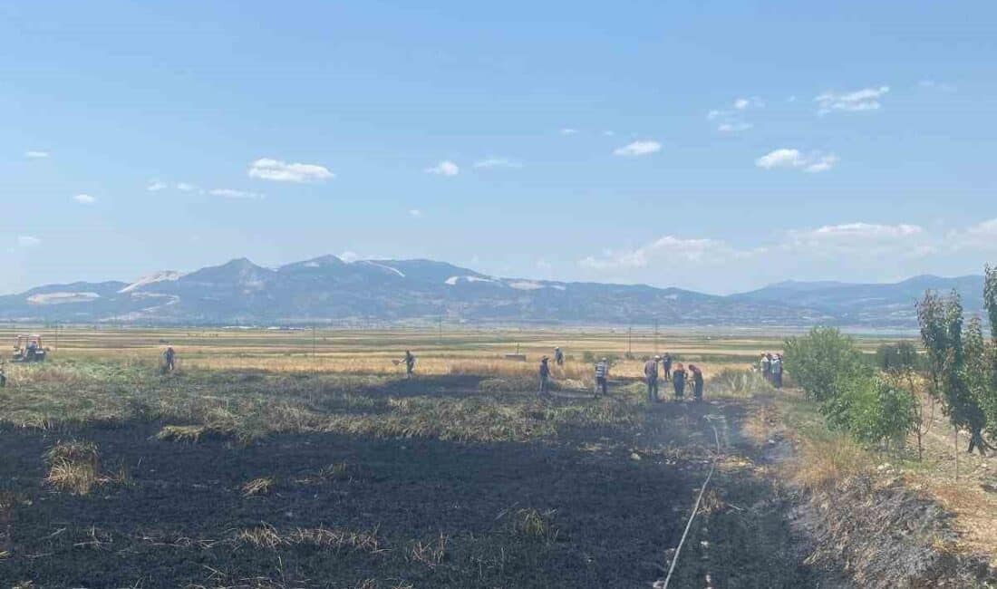 Burdur'un Akyaka köyünde, Ömer Bulut'a ait buğday arazisinde çıkan yangında