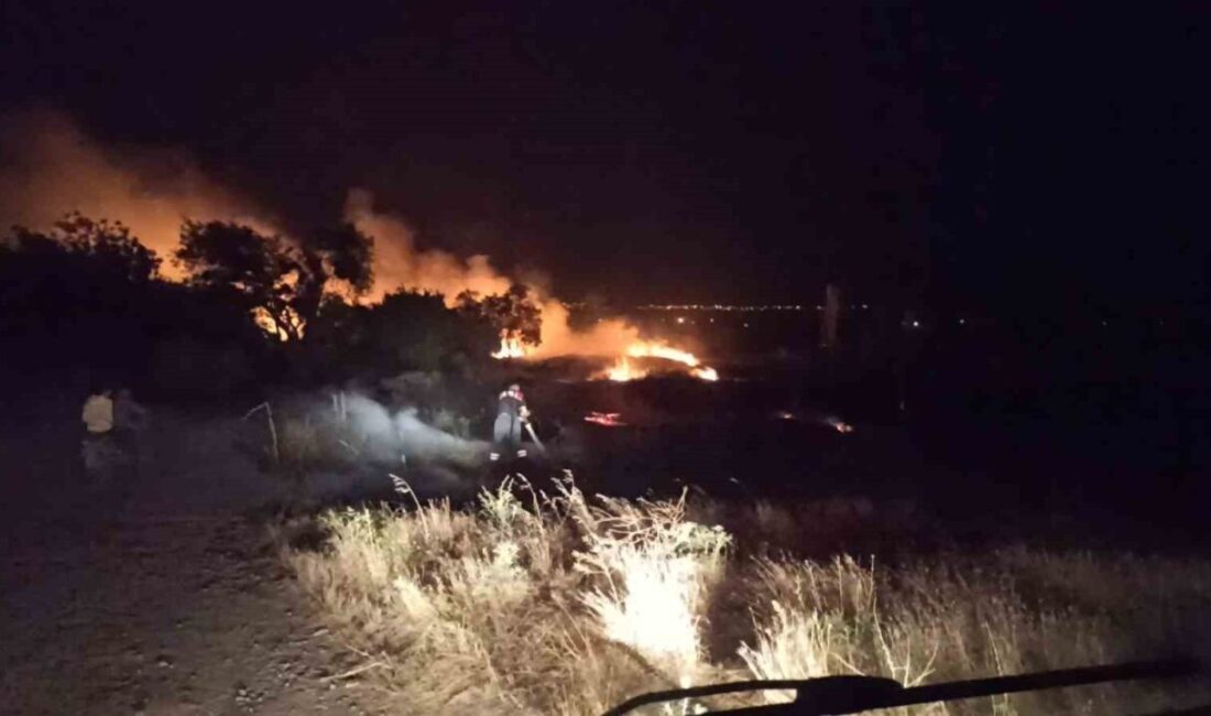 Burdur'un Askeriye köyünde gece saatlerinde çıkan anız yangınında 30 dönüm