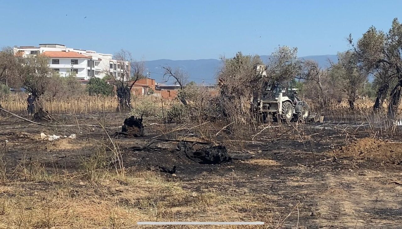 Balıkesir'in Burhaniye ilçesinde bir zeytinlikte çıkan ve rüzgarın etkisiyle hızla