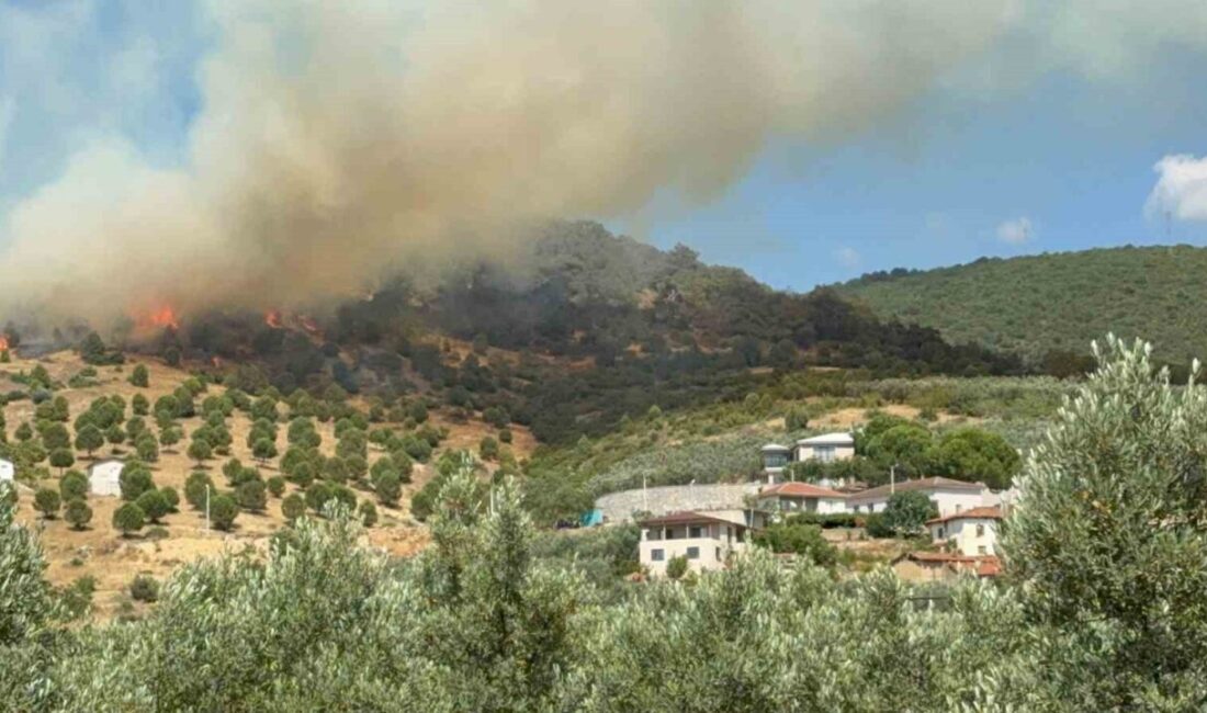 Bursa’nın İznik ilçesinde İnikli Mevkii'nde çıkan orman yangını, rüzgarın etkisiyle