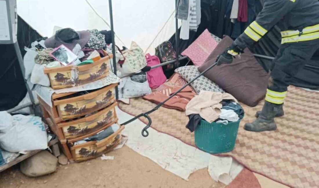 Bingöl'ün Genç ilçesindeki bir karpuz bağı çadırına giren yılan, paniğe