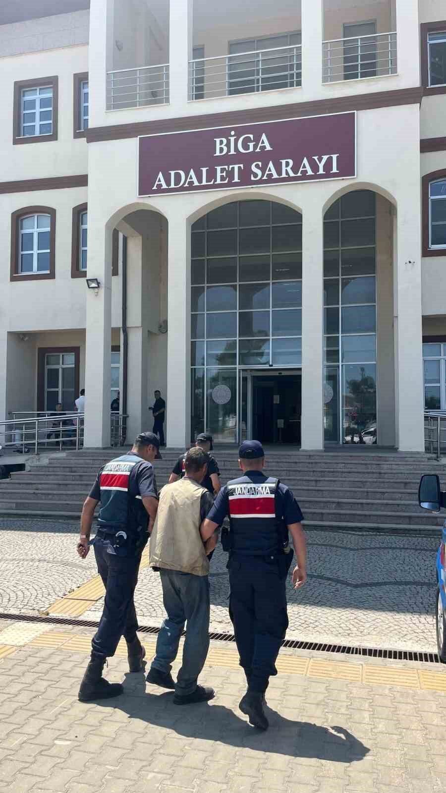 Çanakkale'de jandarma, Biga ilçesi Zeytinlik Mahallesi'nde 77 kök kenevir bitkisi