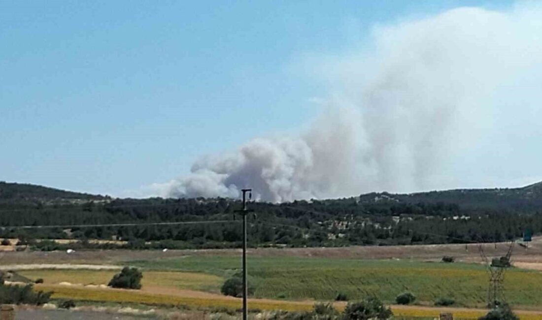 Çanakkale’nin Gelibolu ilçesi Doğan Aslan mevkiinde tarım arazisinde çıkan yangına,