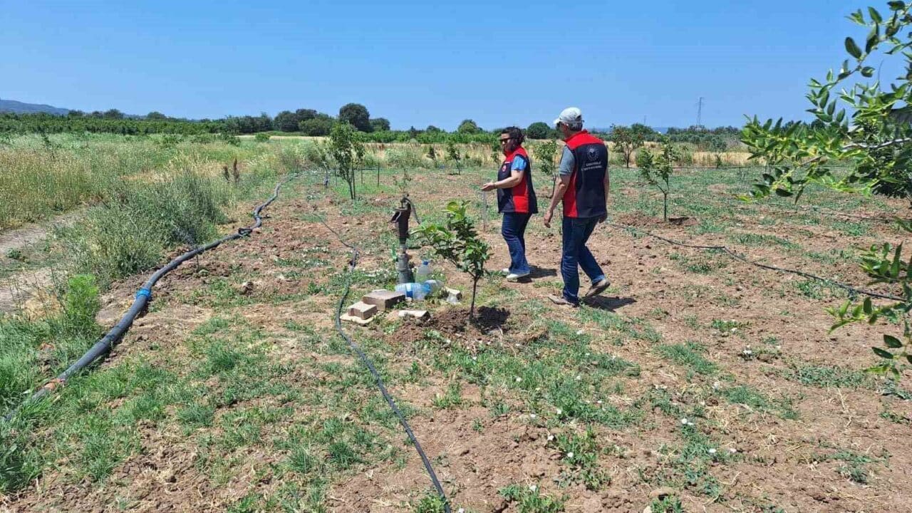 Çanakkale İl Tarım ve Orman Müdürlüğü, tarımsal sulama için elektrik