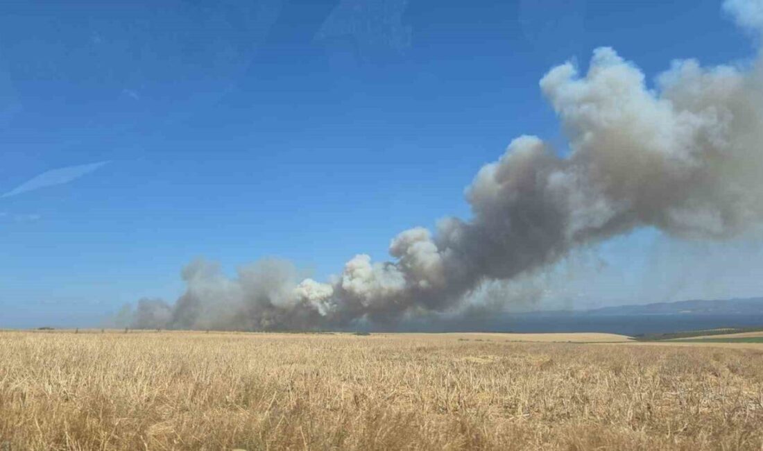 Çanakkale'nin Gelibolu ilçesinde tarım arazisinde çıkan yangın, Doğan Aslan mevkiinde