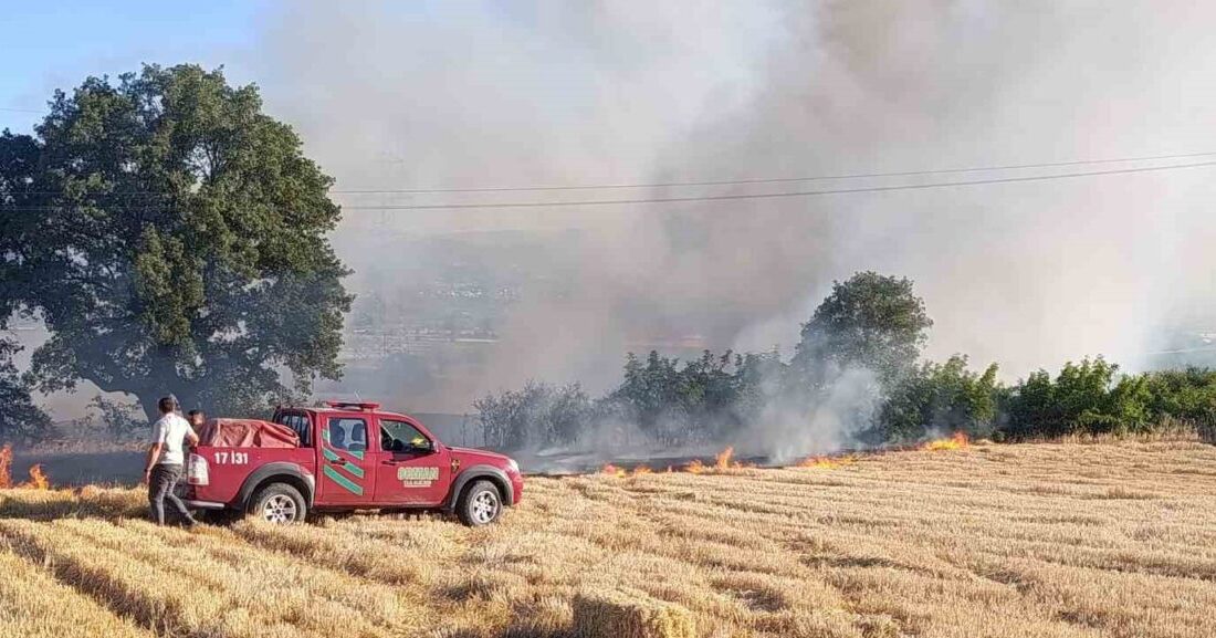 Çanakkale’nin Çan ilçesinde Tepeköy'deki tarım arazisinde çıkan anız yangını, Orman