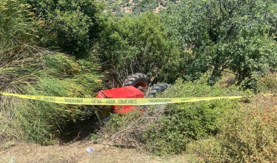 Aydın'ın Çine ilçesinde Mukadder Taşcan'ın kullandığı traktör, direksiyon hakimiyetinin kaybedilmesi