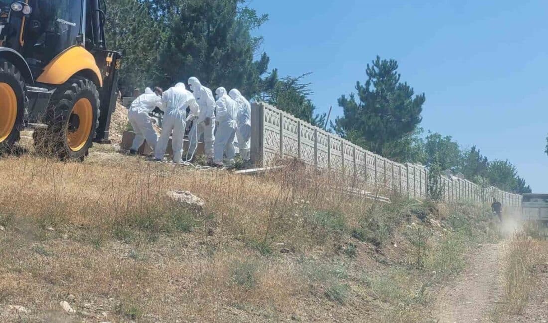 Çorum'un Alaca ilçesinde, tarlada kene tarafından ısırılan 51 yaşındaki İsmet