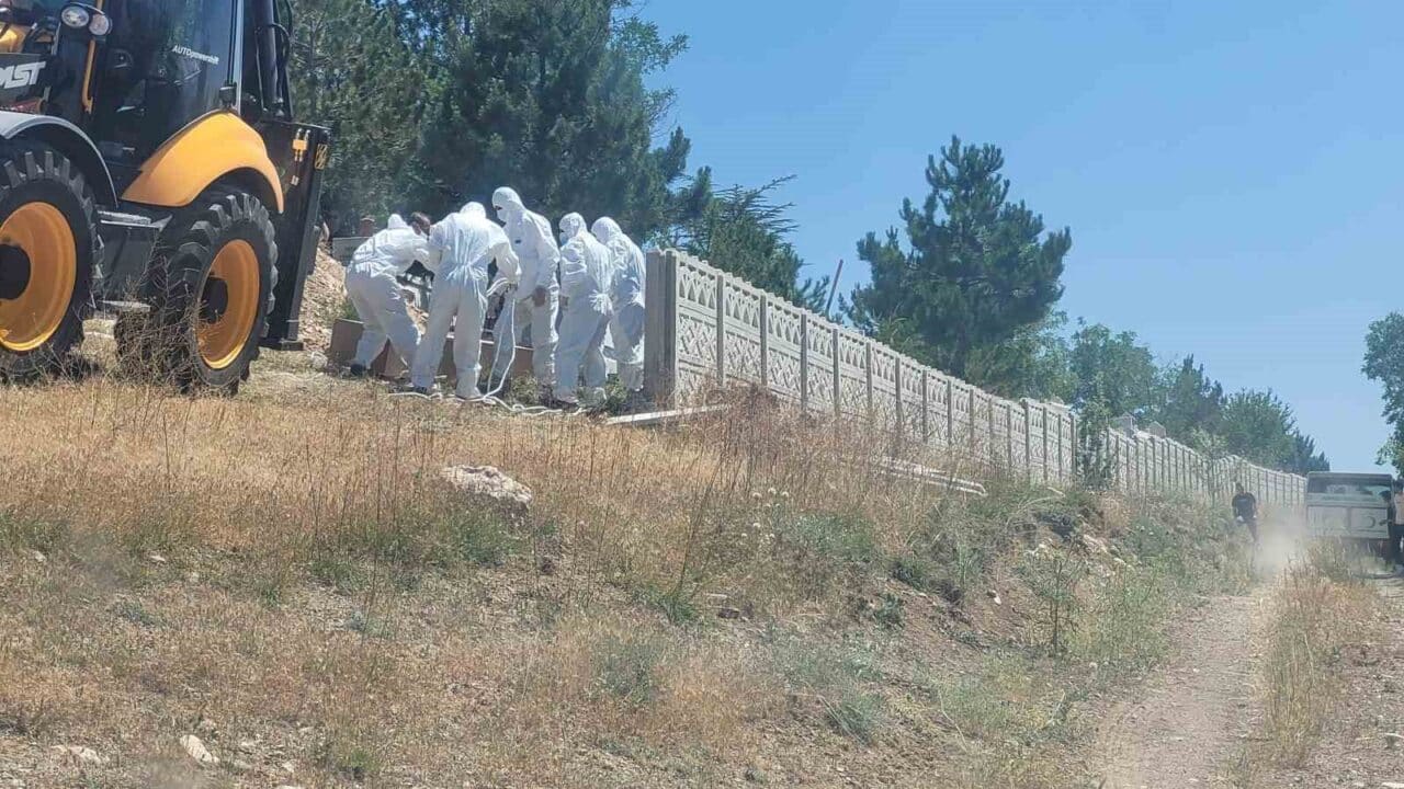 Çorum'un Alaca ilçesinde, tarlada kene tarafından ısırılan 51 yaşındaki İsmet