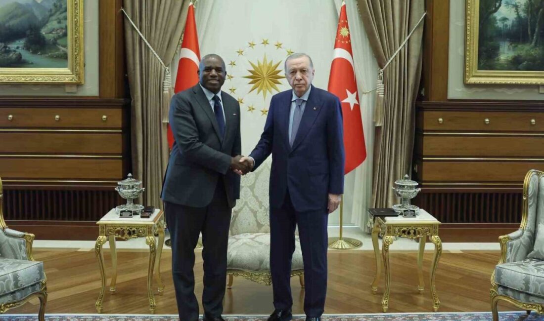 Cumhurbaşkanı Recep Tayyip Erdoğan, İngiltere Dışişleri Bakanı David Lammy ile