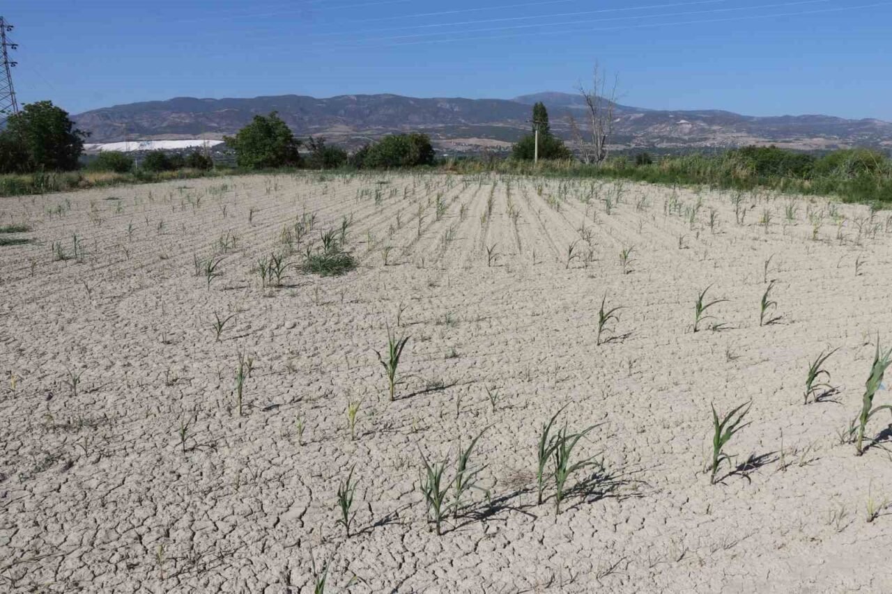 Denizli'nin Pamukkale Ovası'ndaki 5 mahallede, DESKİ tarafından sağlanan sulama suyu,