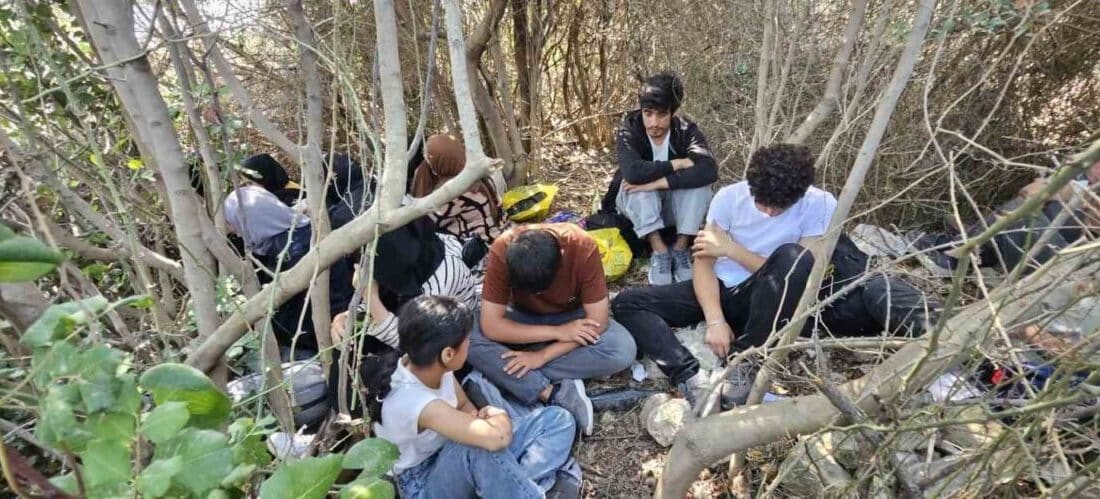 Aydın'ın Didim ilçesinde jandarma, makilik alanda saklanan 17 düzensiz göçmeni