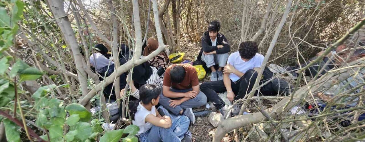 Aydın'ın Didim ilçesinde jandarma, makilik alanda saklanan 17 düzensiz göçmeni