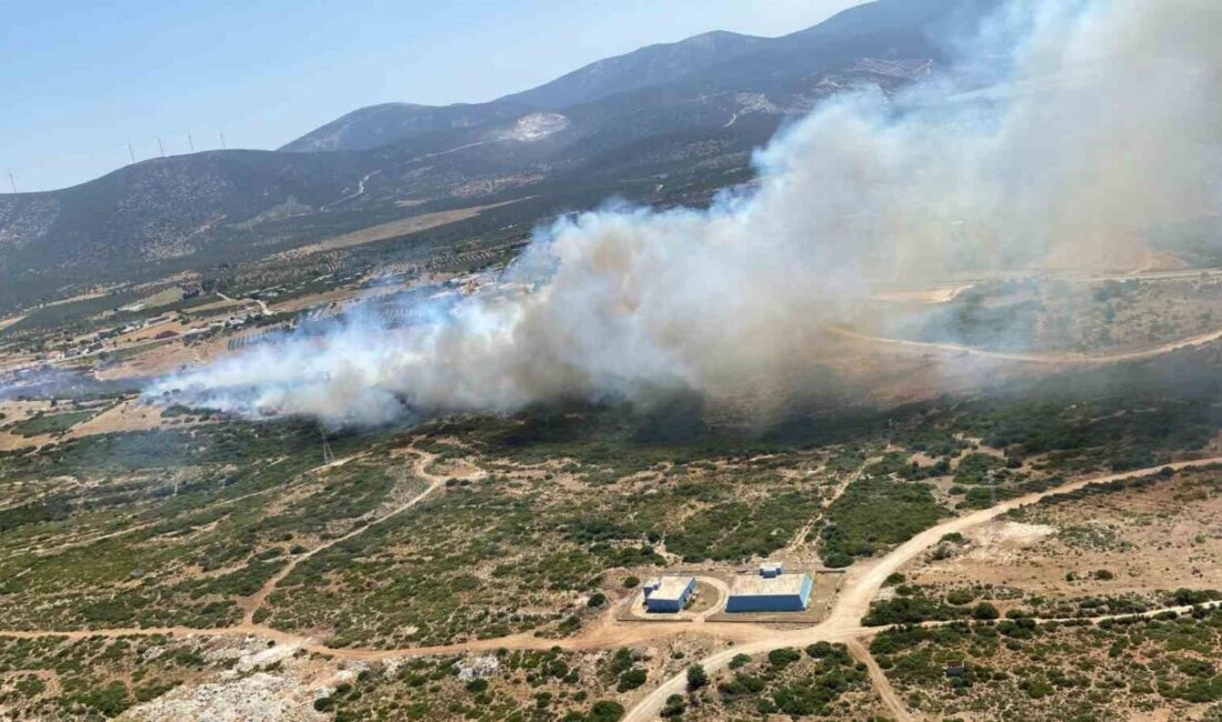 Aydın’ın Didim ilçesindeki Fevzipaşa Mahallesi yakınlarında makilik alanda çıkan yangına,