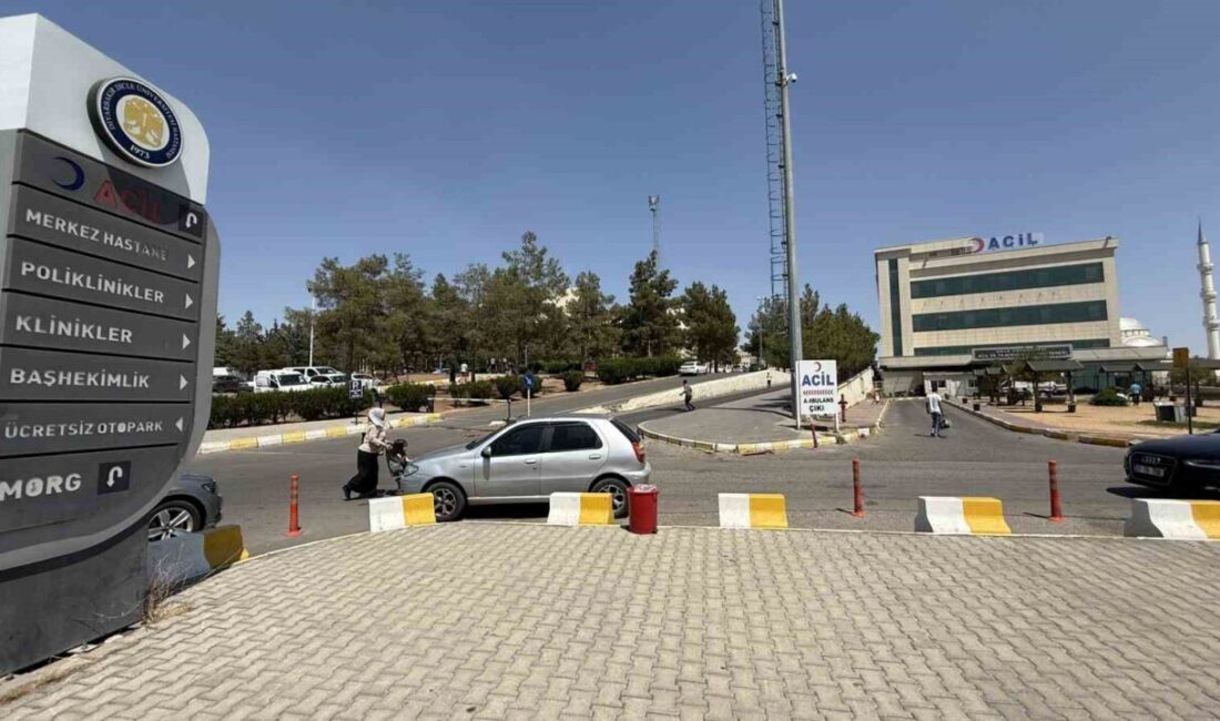 Diyarbakır'ın Çınar ilçesinde kız kaçırma nedeniyle başlayan husumet sonucunda Yasemin