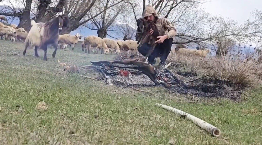 Erzincan’ın Çayırlı ilçesinde doluya yakalanan küçükbaş hayvan sürüsünü koruyan çoban