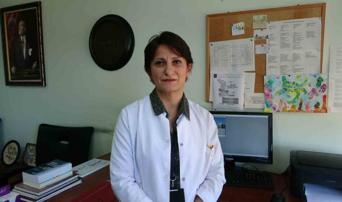 Karadeniz Teknik Üniversitesi'nden Dr. Olcay Ayçiçek, Türkiye'de her yıl 600-1000