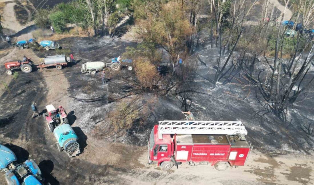 Eber Gölü yakınındaki tarım arazilerinde çıkan yangın, Sultandağı ilçesi Yakasenek
