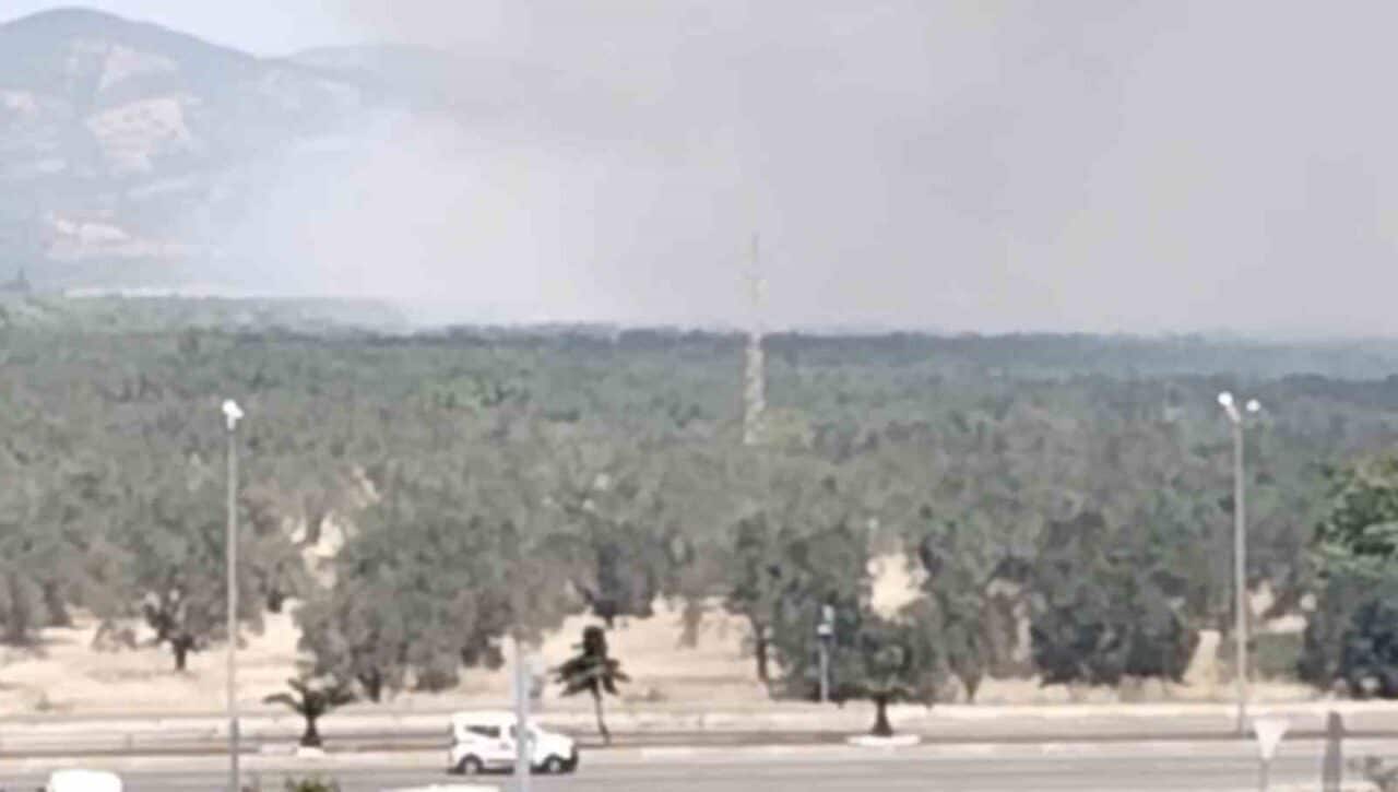 Balıkesir'in Edremit ilçesinde bir zeytinlikte yangın çıktı. Yangına, çevre ilçelerin