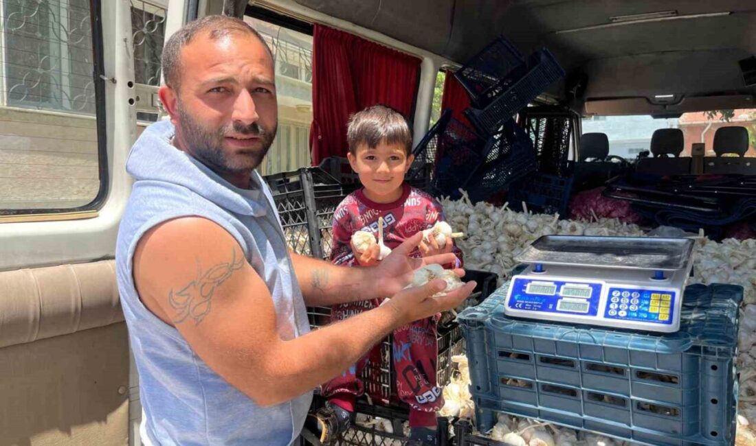 Devran Yöntem ve ailesi, Kahramanmaraş'tan yola çıkarak Eskişehir'de sarımsak satıyor.