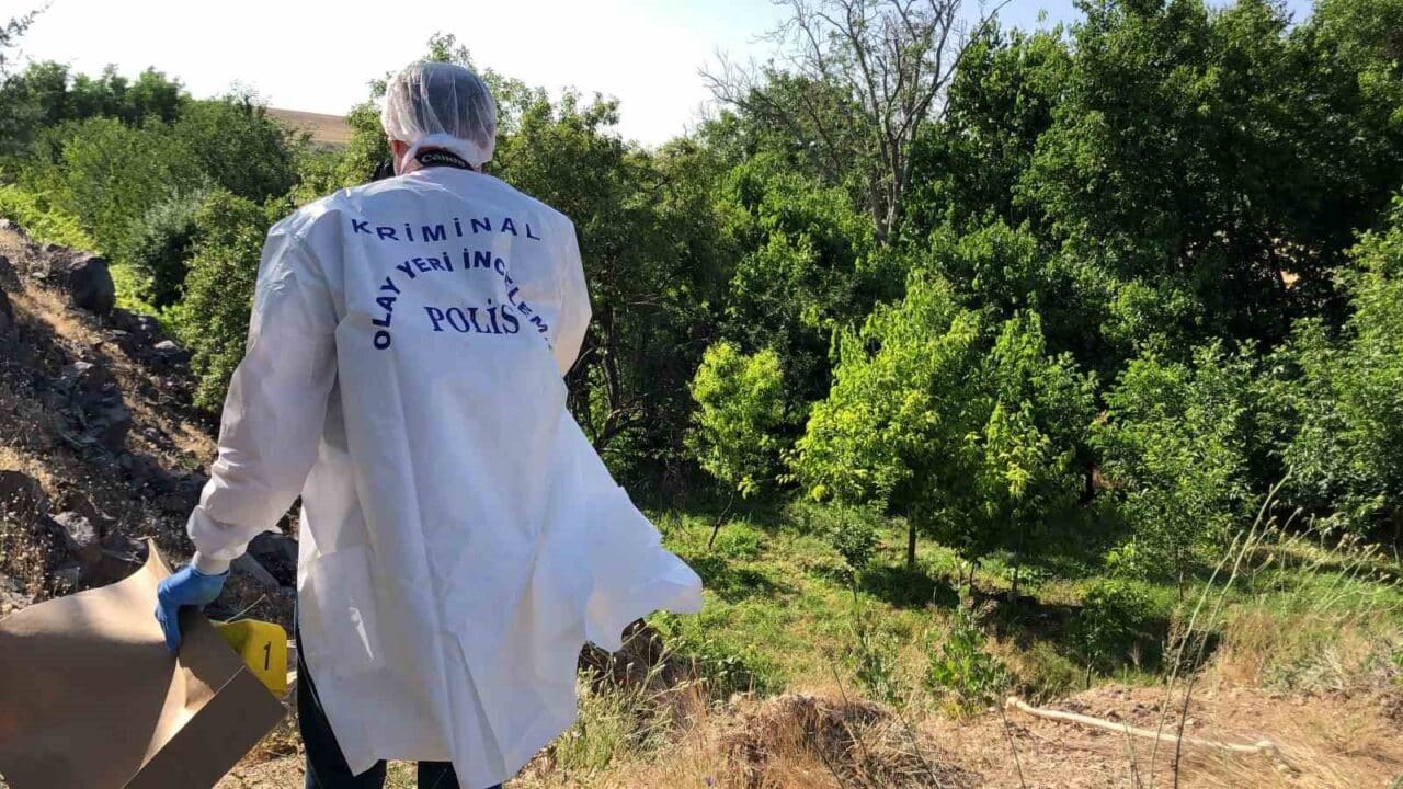 Elazığ'ın Gümüşkavak Mahallesi'nde ağaçta asılı bir erkek cesedi bulundu. Vatandaşların