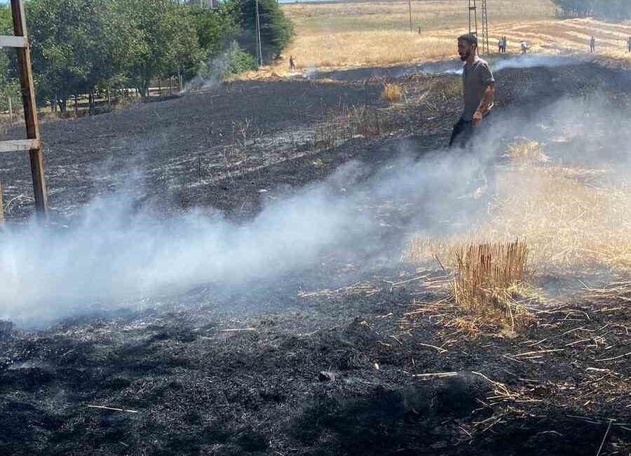 Elazığ'ın Cip köyünde 3 dönümlük ekili alanda çıkan yangın, vatandaşların