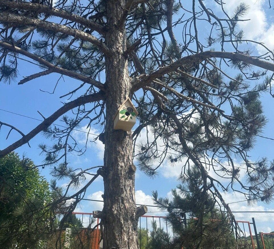 Sakarya Büyükşehir Belediyesi, Serdivan Şehit Ali Borinli Özel Eğitim Meslek