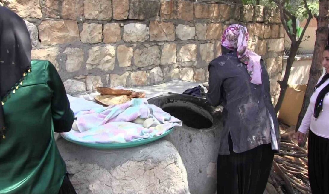 Siirt’in Eruh ilçesindeki kadın kooperatifi, yöresel organik ürünleriyle hem yurt