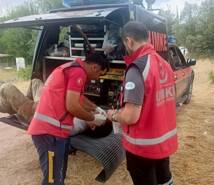 Sakarya'nın Taraklı İlçesi'nde başlayan orman yangını, rüzgarın etkisiyle Bilecik'in Gölpazarı'na