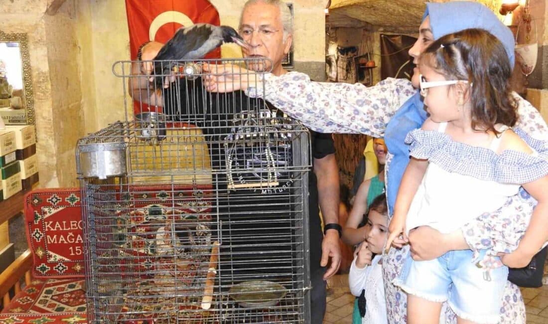Gaziantep'te Mehmet Kaleoğlu, yaralı bir karga yavrusunu sahiplenerek "Kara Şakir"