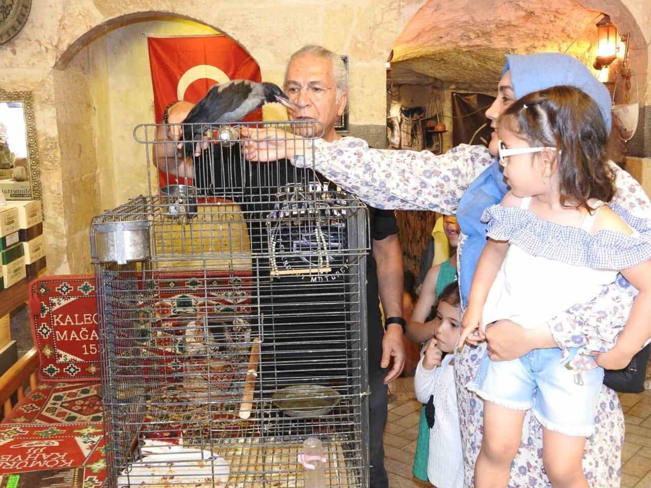 Gaziantep'te Mehmet Kaleoğlu, yaralı bir karga yavrusunu sahiplenerek "Kara Şakir"
