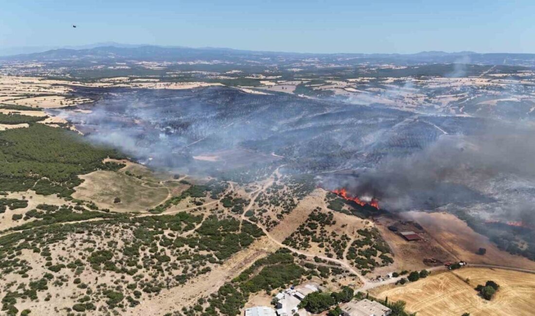 Çanakkale’nin Ezine ilçesinde, tarım arazisinde başlayan yangın ormanlık alana yayıldı.