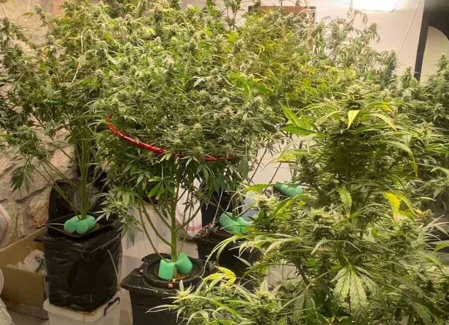 Fethiye'de düzenlenen uyuşturucu operasyonunda 7 kişi gözaltına alındı. Muğla Emniyet