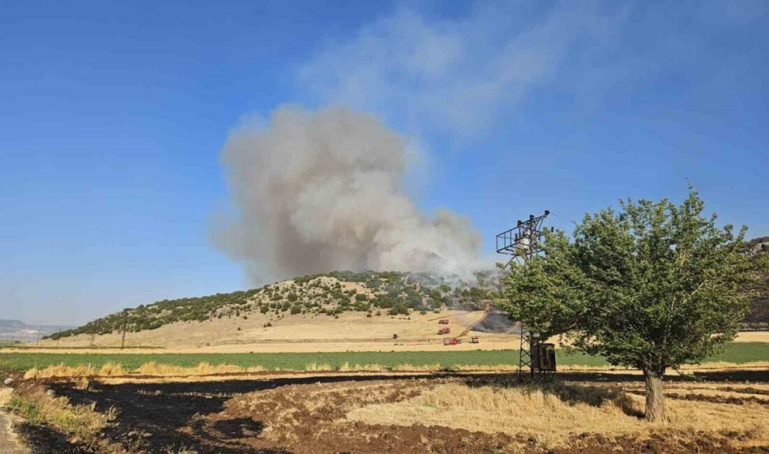 Gaziantep'in Nurdağı ilçesinde jandarma, anız yakan C.K.'ya 47 bin 320