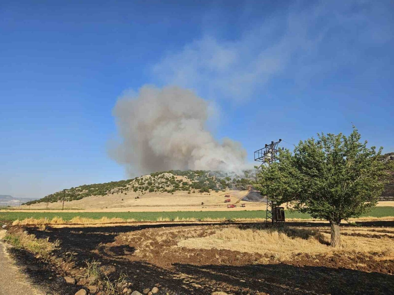 Gaziantep'in Nurdağı ilçesinde jandarma, anız yakan C.K.'ya 47 bin 320