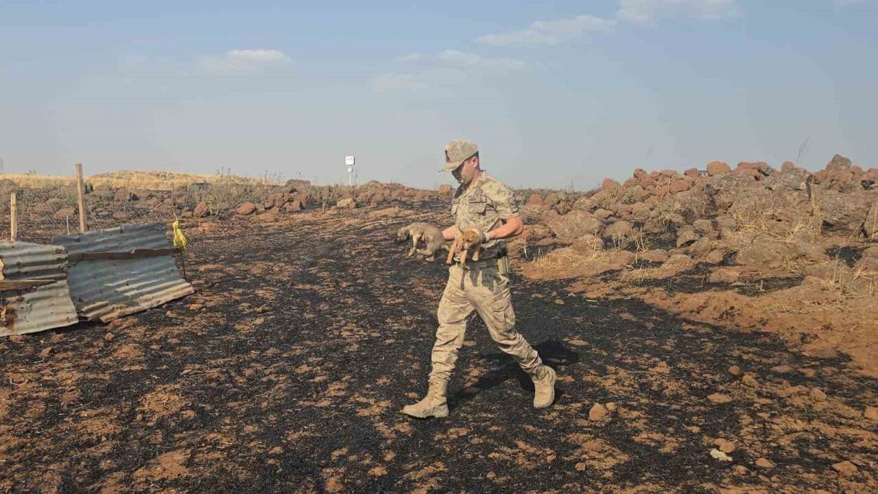 Gaziantep'in İslahiye ilçesinde çıkan anız yangınında jandarma, alevler arasında mahsur