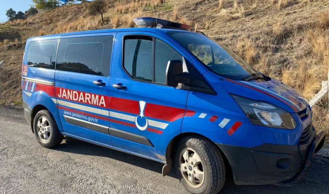 Nazilli'de 17 yaşındaki Damla Gülüş, Beğerli Mahallesi'ndeki hayvan damında ölü