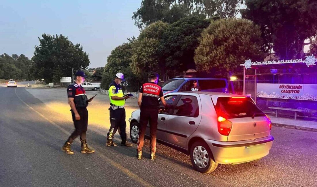 Aydın'ın Germencik ilçesinde yapılan denetimlerde, jandarma ekipleri 23 aracı kontrol