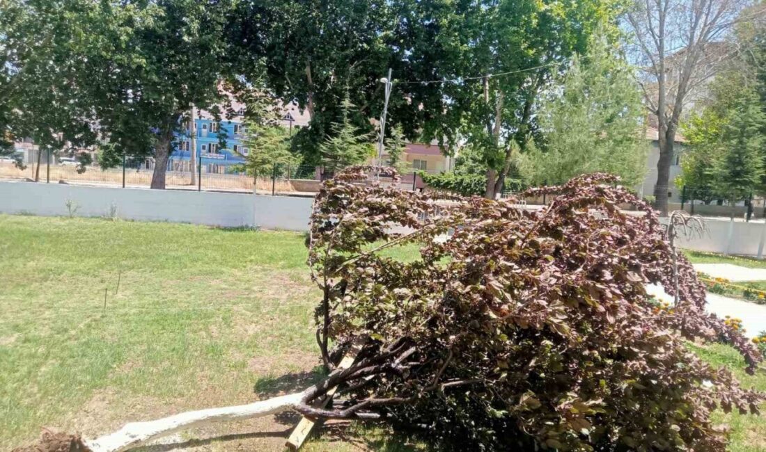 Adıyaman'ın Gölbaşı ilçesinde kuvvetli rüzgar, Yavuz Selim Mahallesi kanal boyundaki